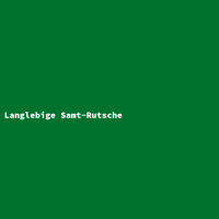 Langlebige Samt-Rutsche